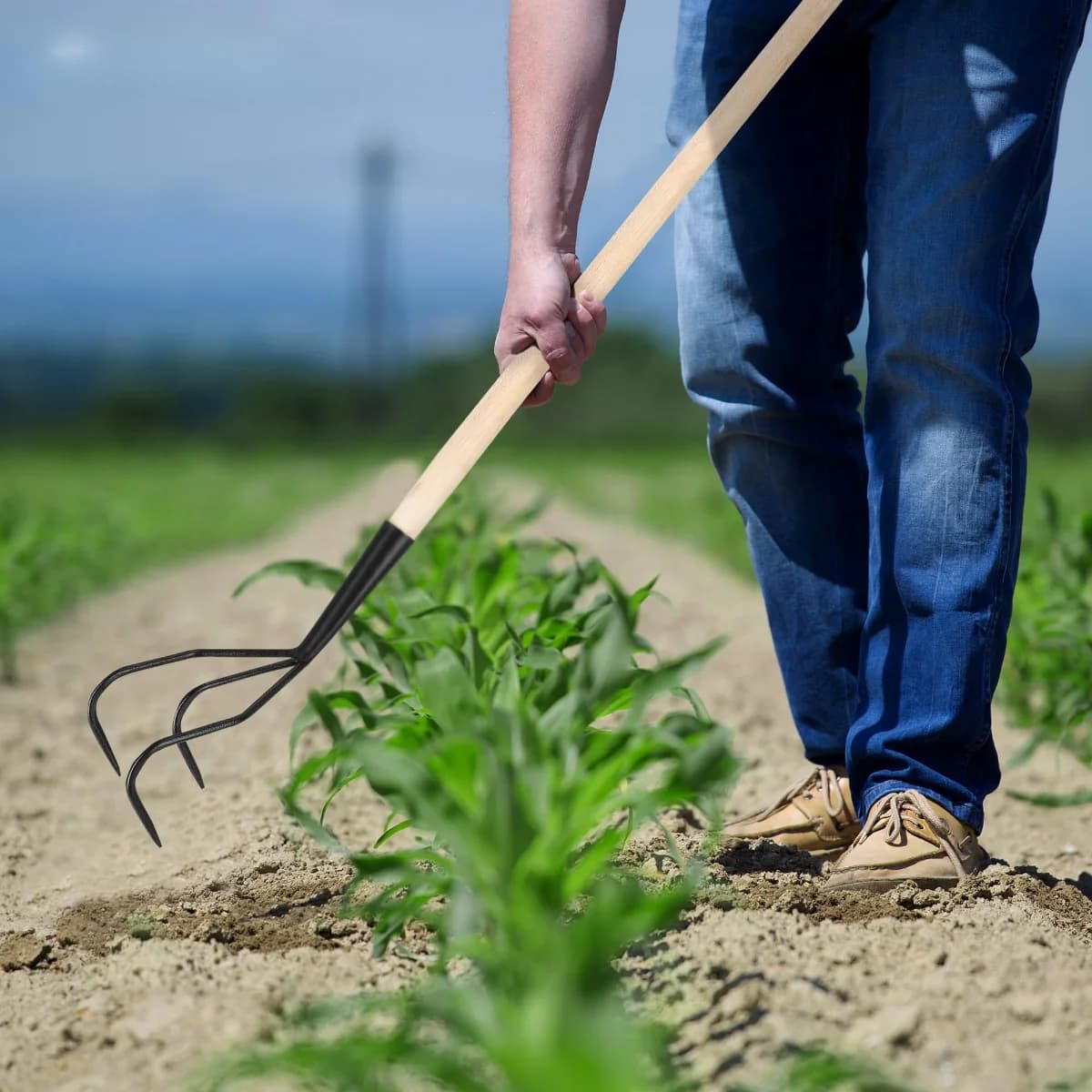 Cultivateur 3 dents pour les tâches d’entretien du jardin