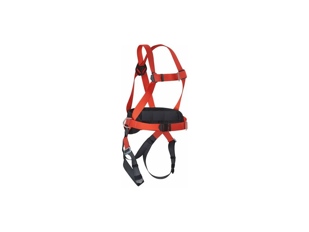 Harnais de sécurité avec ceinture de maintien